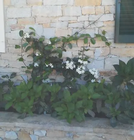 Quinta Santa Joana Homestay Azenha