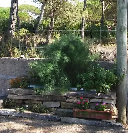 Homestay Quinta Santa Joana *